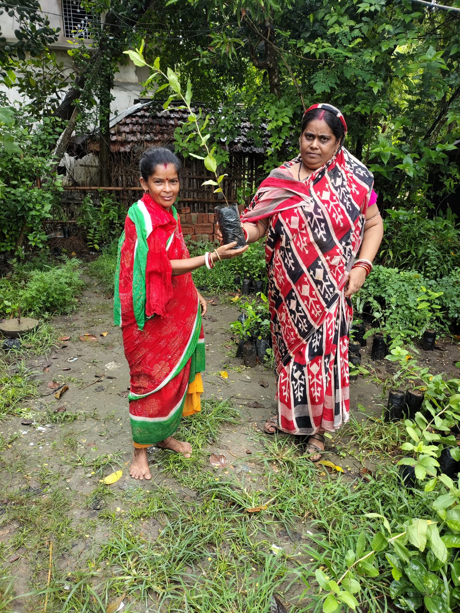 468750487_439103592569964_8446664332634855828_n