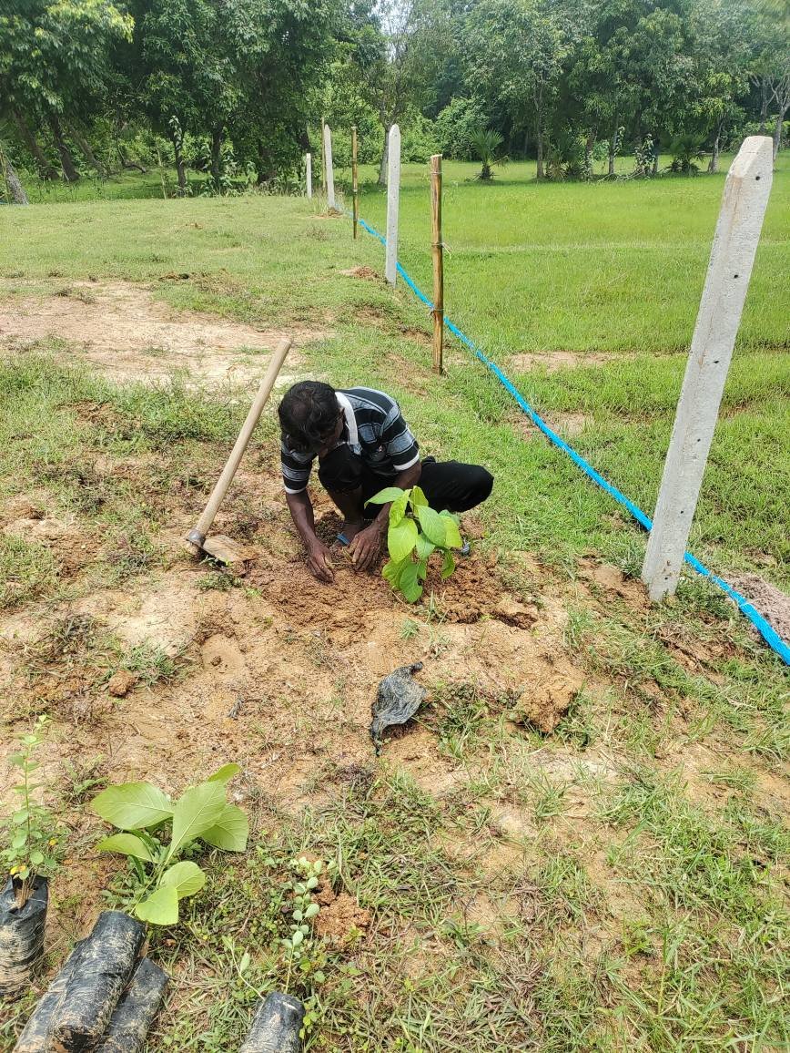 526775413_618739594606362_6842645110349121132_n