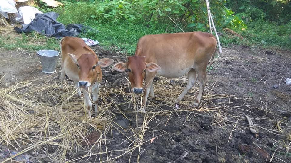 WhatsApp Image 2025-12-19 at 10.25.12 AM (1)